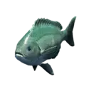 Opaleye