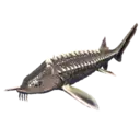 Sturgeon