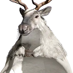 Reindeer Cloak