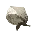 Ruckshi Cloth Cap
