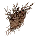 Twisted Thorns