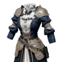 Official Knight's Plate Armor