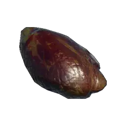 Bear's Gallbladder