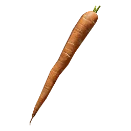 Carrot