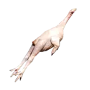 Bird Meat