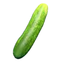 Cucumber