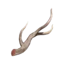 Long Horn