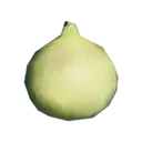 Fennel