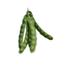 Peas