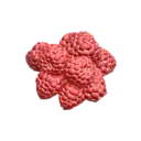 Raspberry