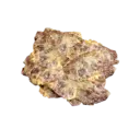 Fish Meat
