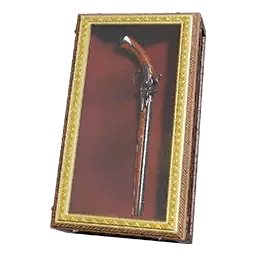 Packaged Gun